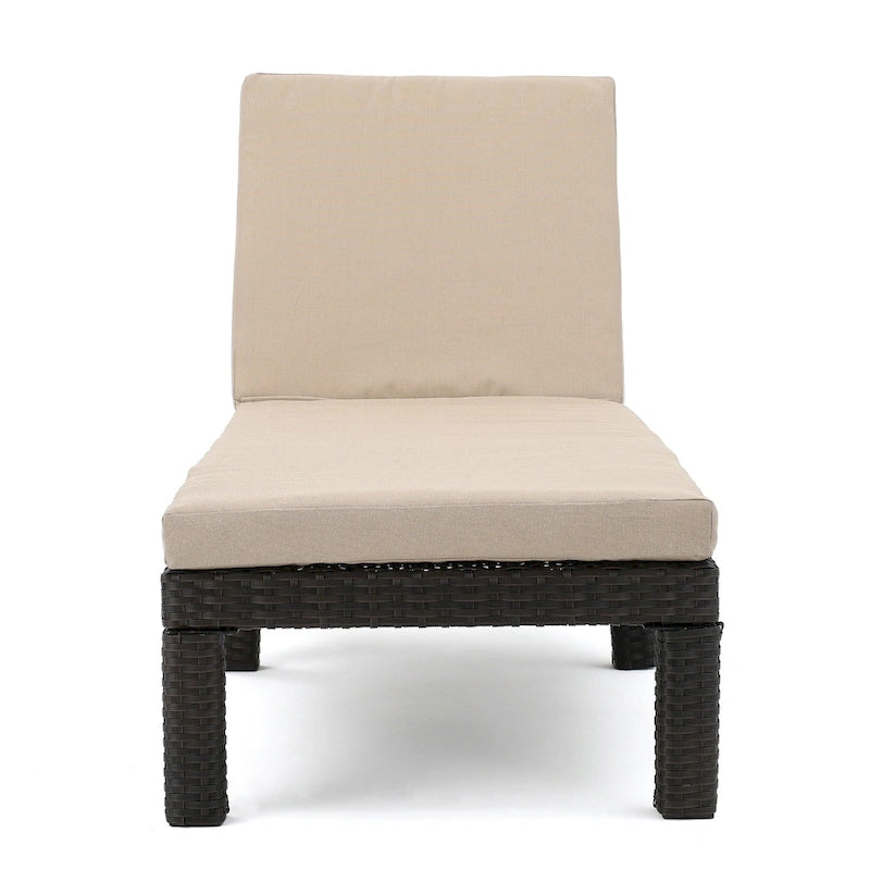 Puerta Outdoor Adjustable PE Wicker Chaise Lounge with Cushion by Christopher Knight Home (Set of 2)