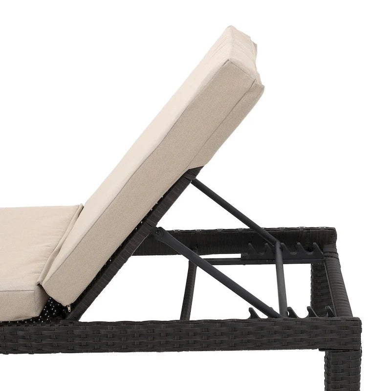 Puerta Outdoor Adjustable PE Wicker Chaise Lounge with Cushion by Christopher Knight Home (Set of 2)