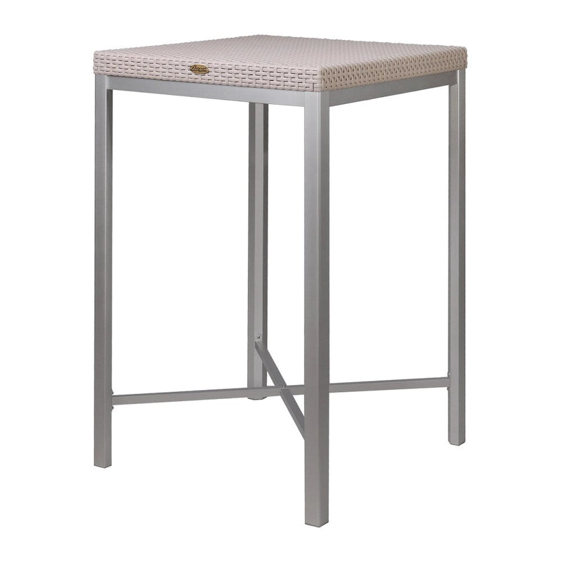 Russ Resin All-Weather Bar Table with Aluminum Legs